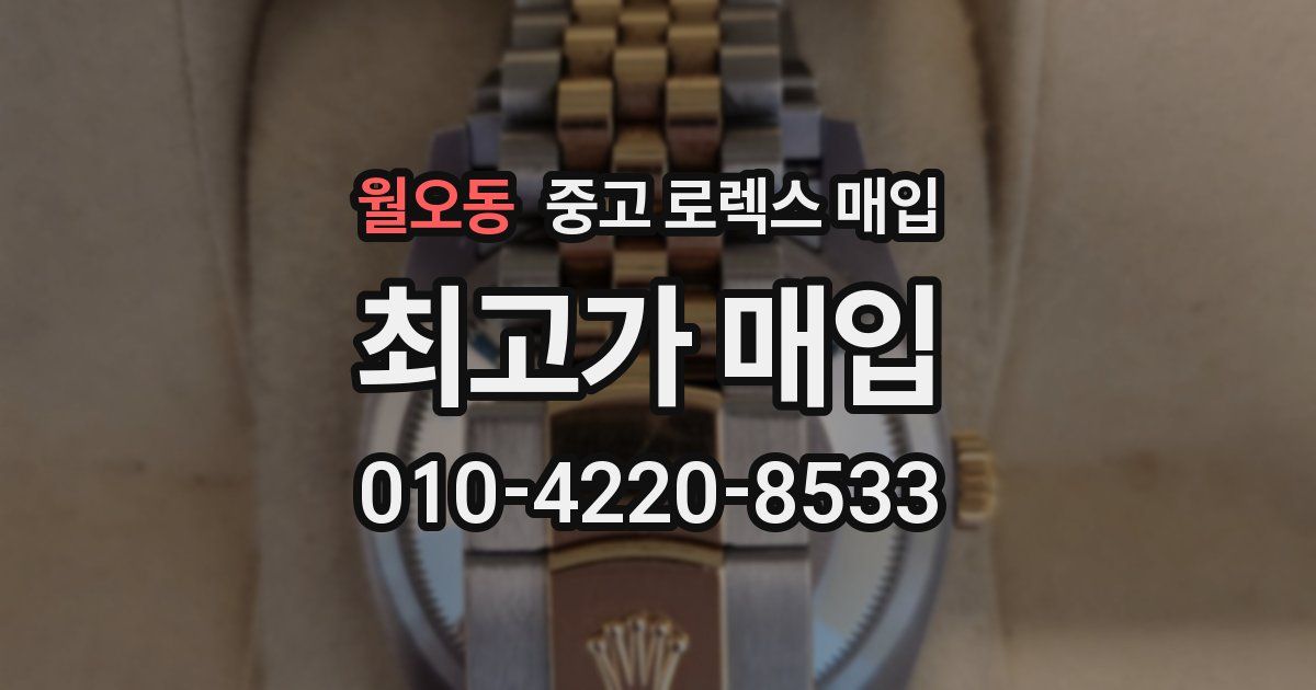 월오동 중고 로렉스 매입