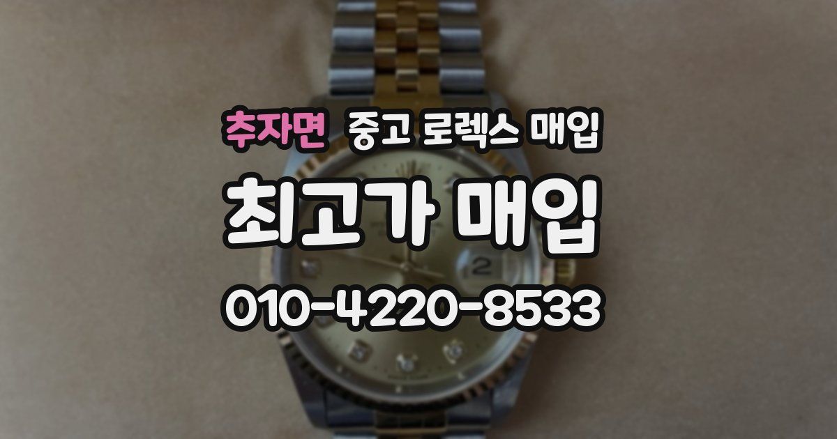 추자면 중고 로렉스 매입