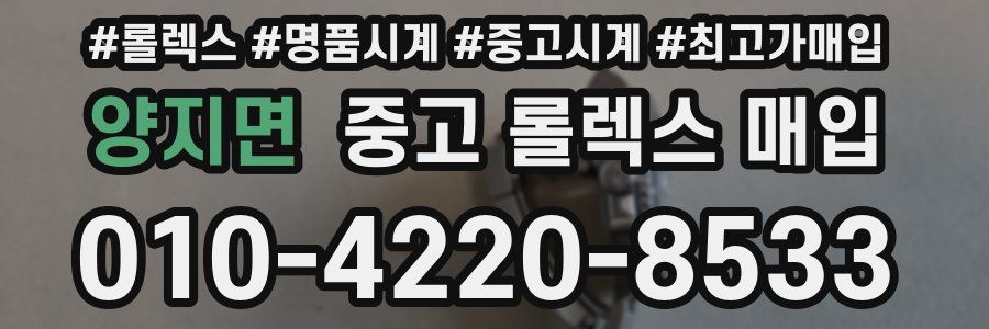 양지면 중고 롤렉스 매입