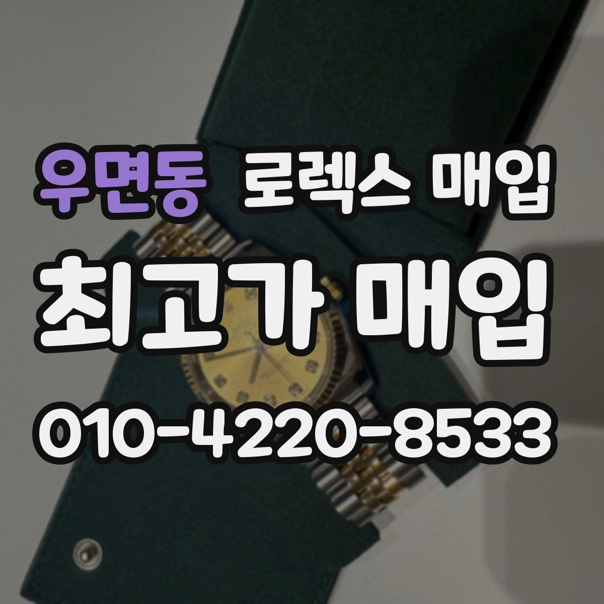 우면동 로렉스 매입 바닷물 사용 이력은 어떻게 볼까
