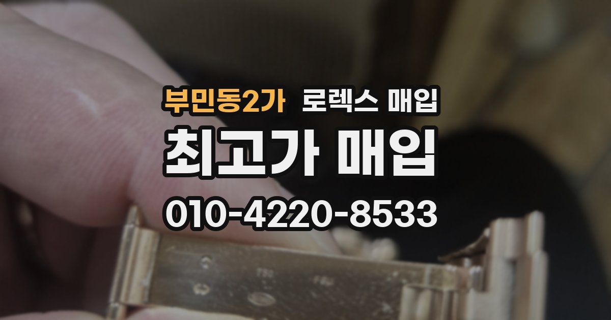 부민동2가 로렉스 매입