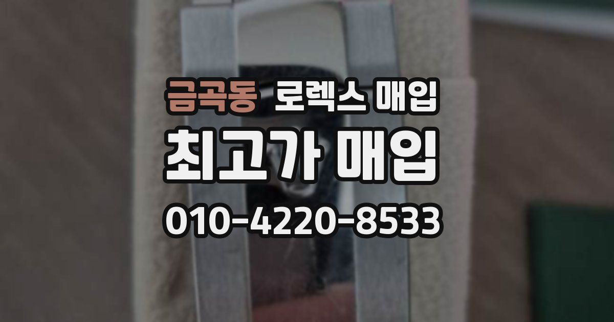 금곡동 로렉스 매입