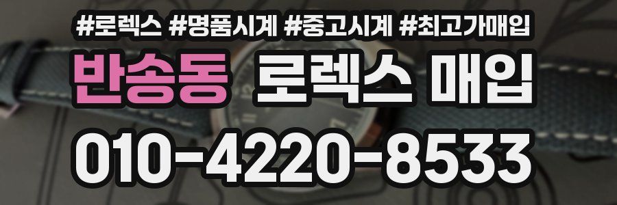 반송동 로렉스 매입
