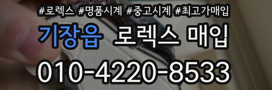 기장읍 로렉스 매입