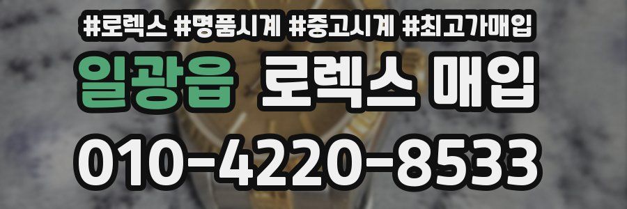 일광읍 로렉스 매입