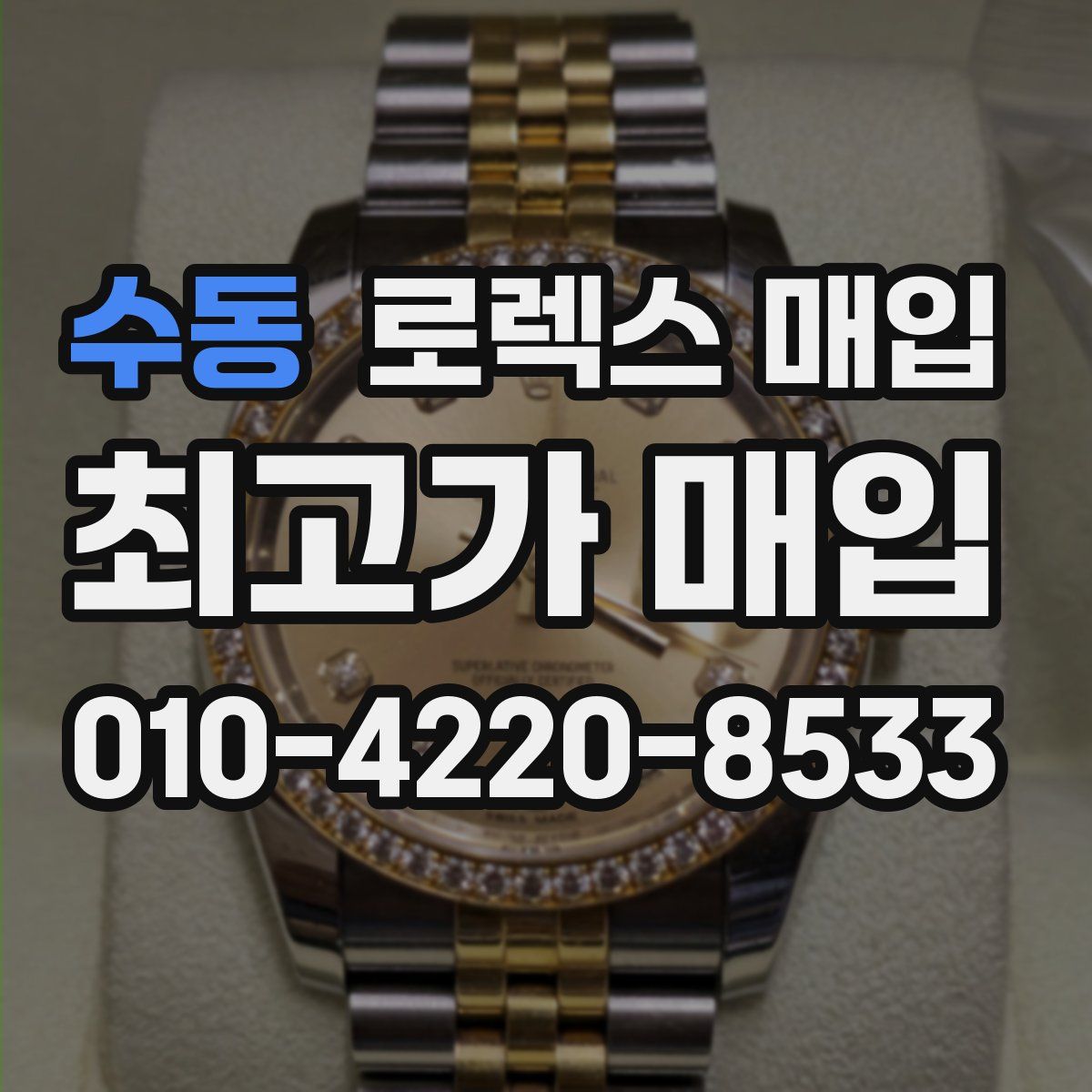 수동 로렉스 매입