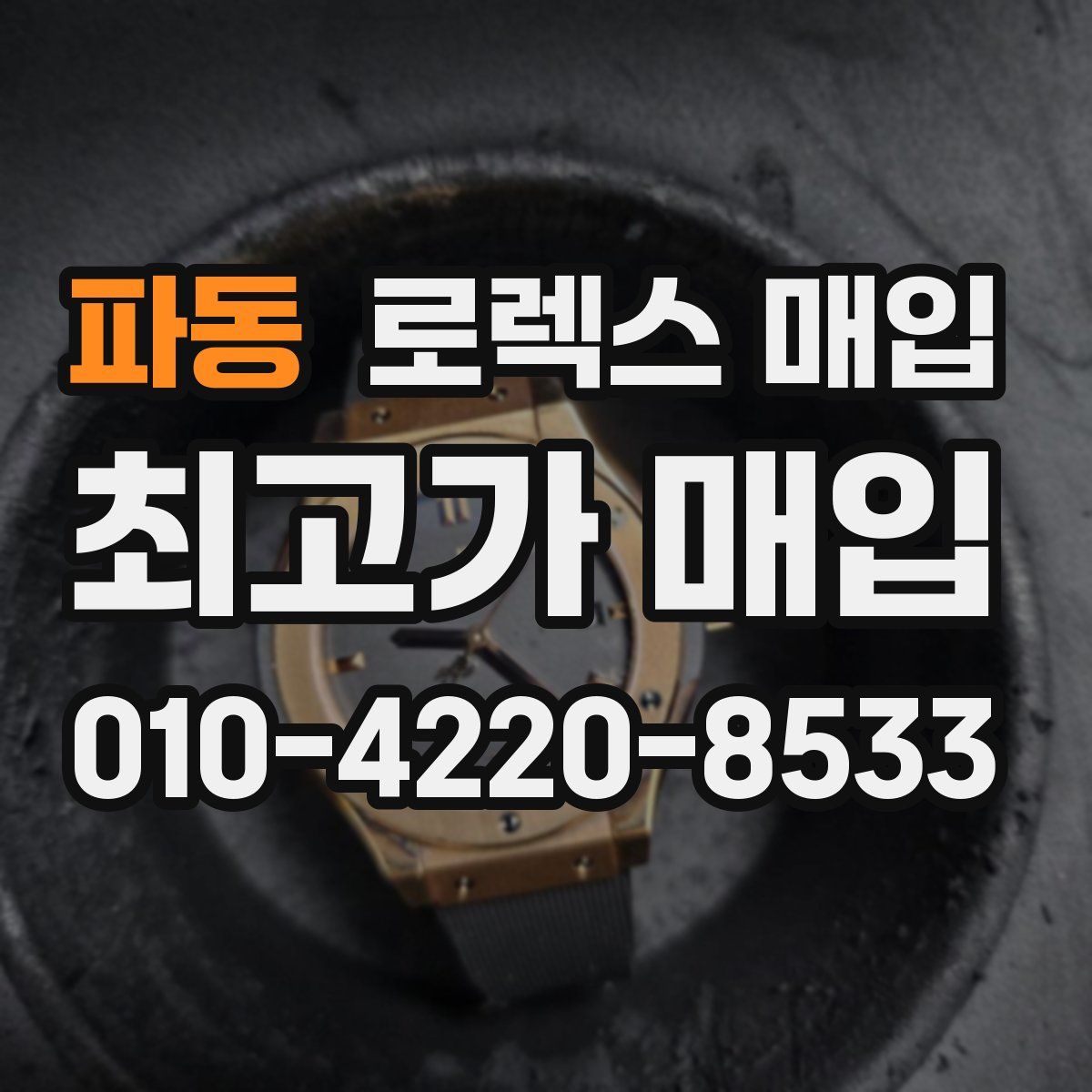 파동 로렉스 매입