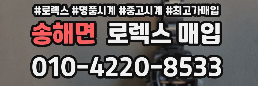 송해면 로렉스 매입