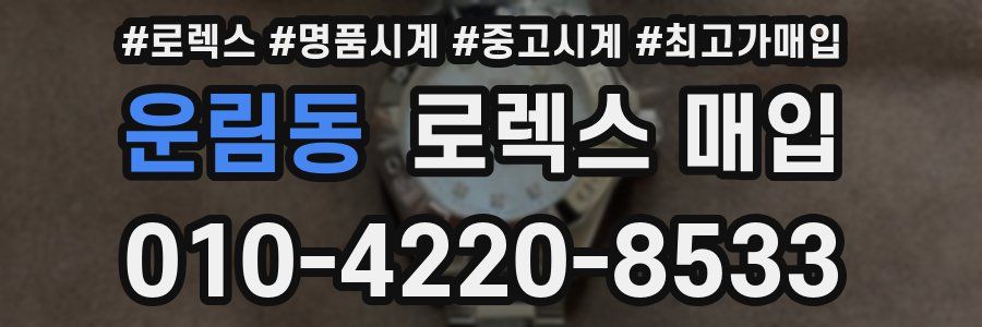 운림동 로렉스 매입