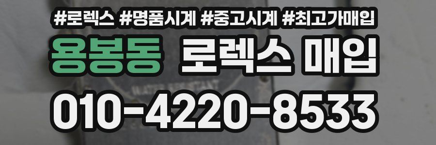 용봉동 로렉스 매입