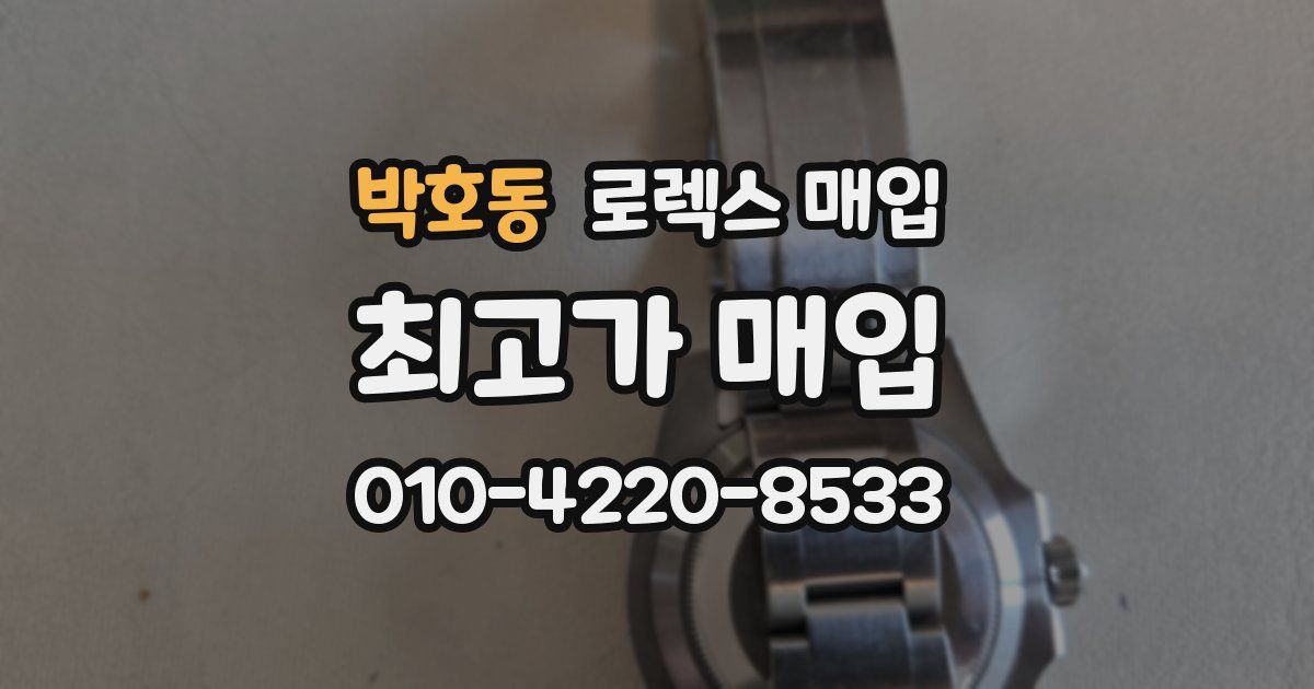 박호동 로렉스 매입