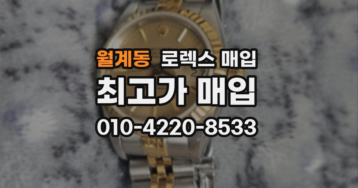 월계동 로렉스 매입