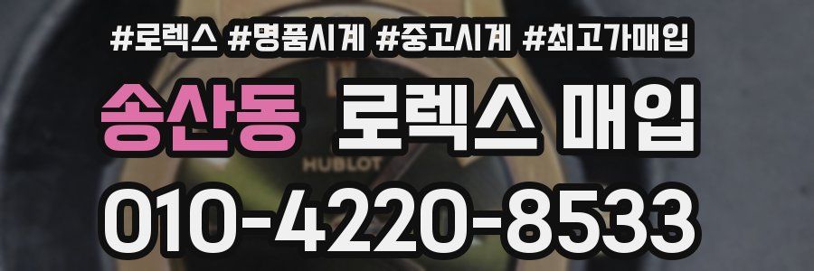 송산동 로렉스 매입