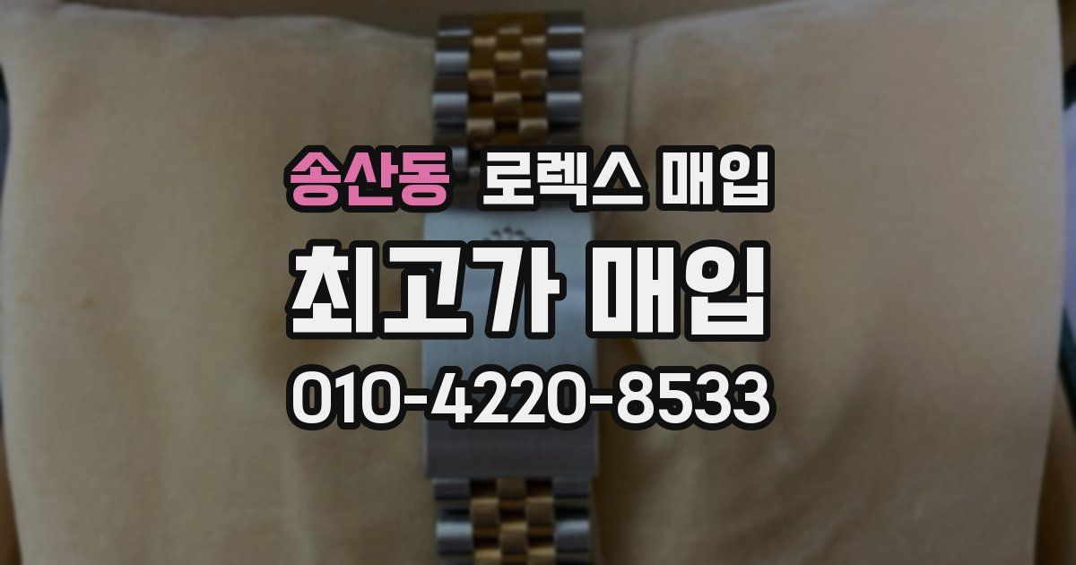 송산동 로렉스 매입