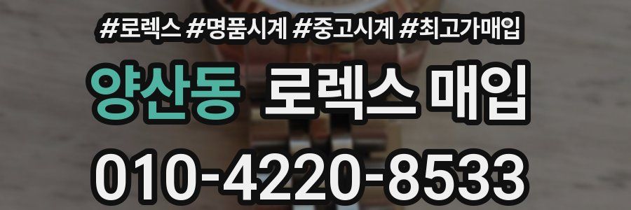 양산동 로렉스 매입