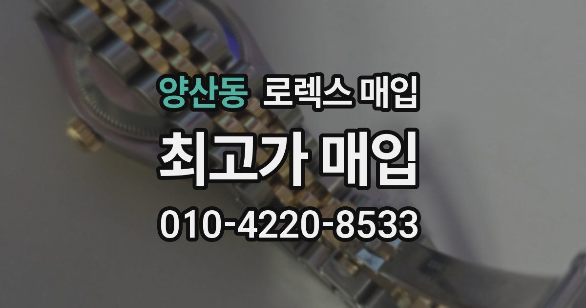 양산동 로렉스 매입