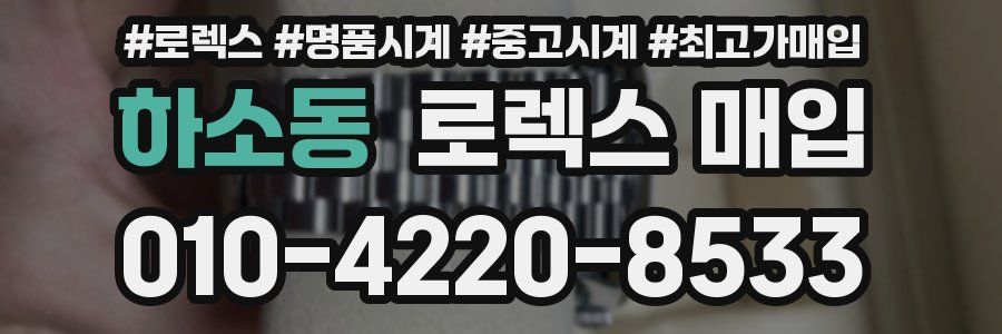 하소동 로렉스 매입