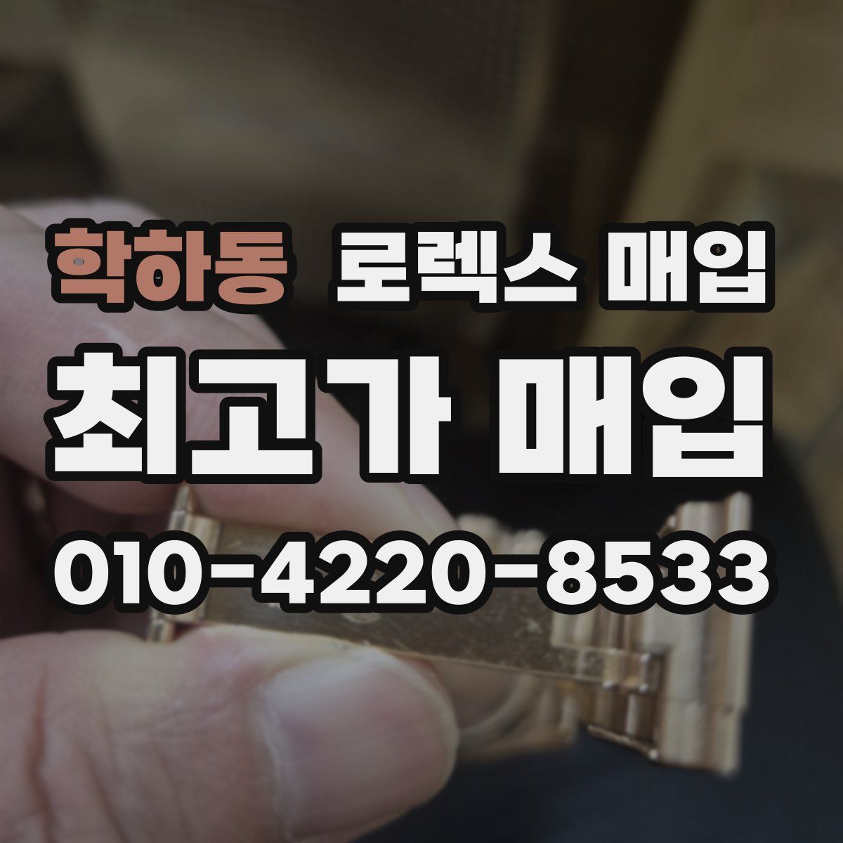 학하동 로렉스 매입