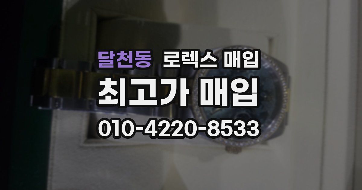 달천동 로렉스 매입