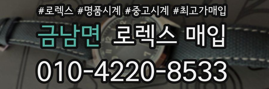 금남면 로렉스 매입