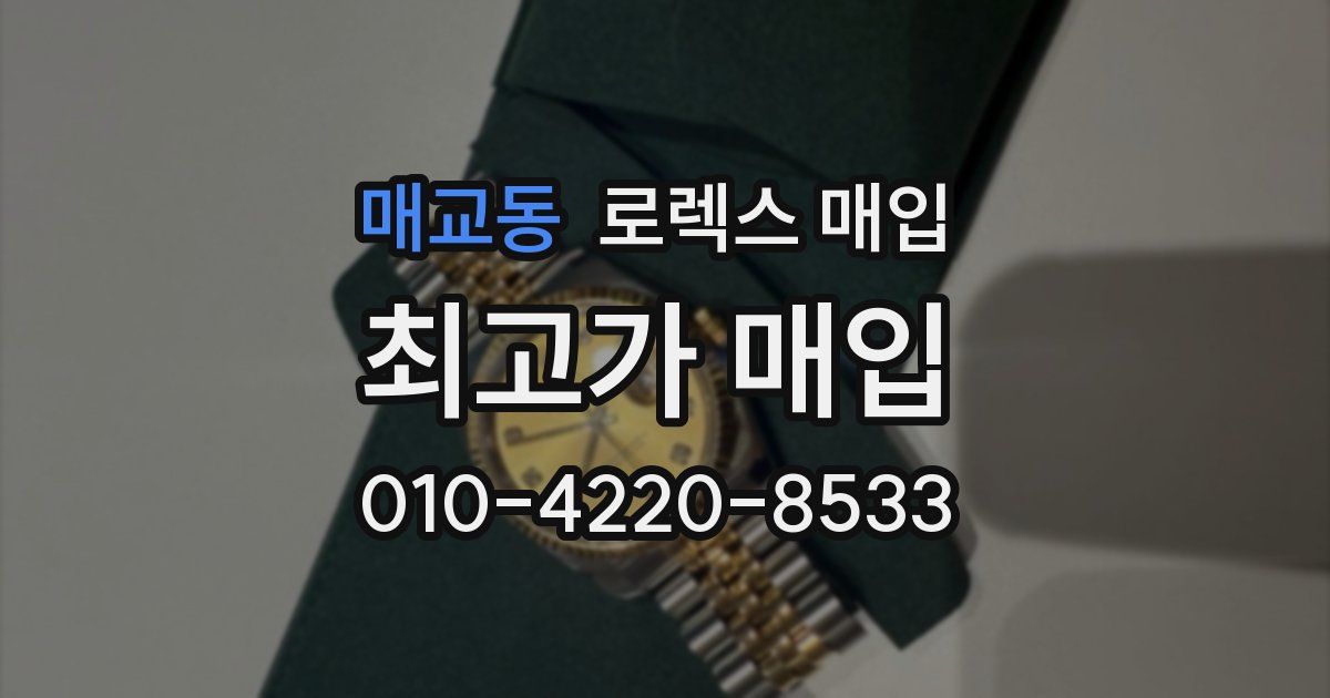 매교동 로렉스 매입