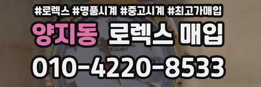 양지동 로렉스 매입
