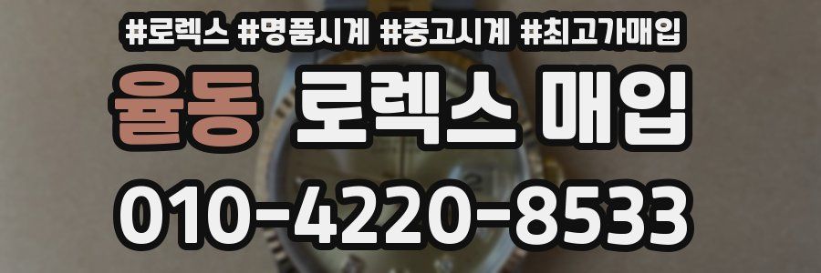 율동 로렉스 매입