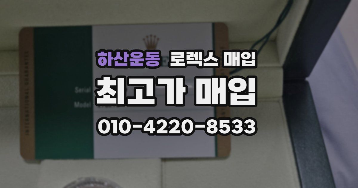 하산운동 로렉스 매입