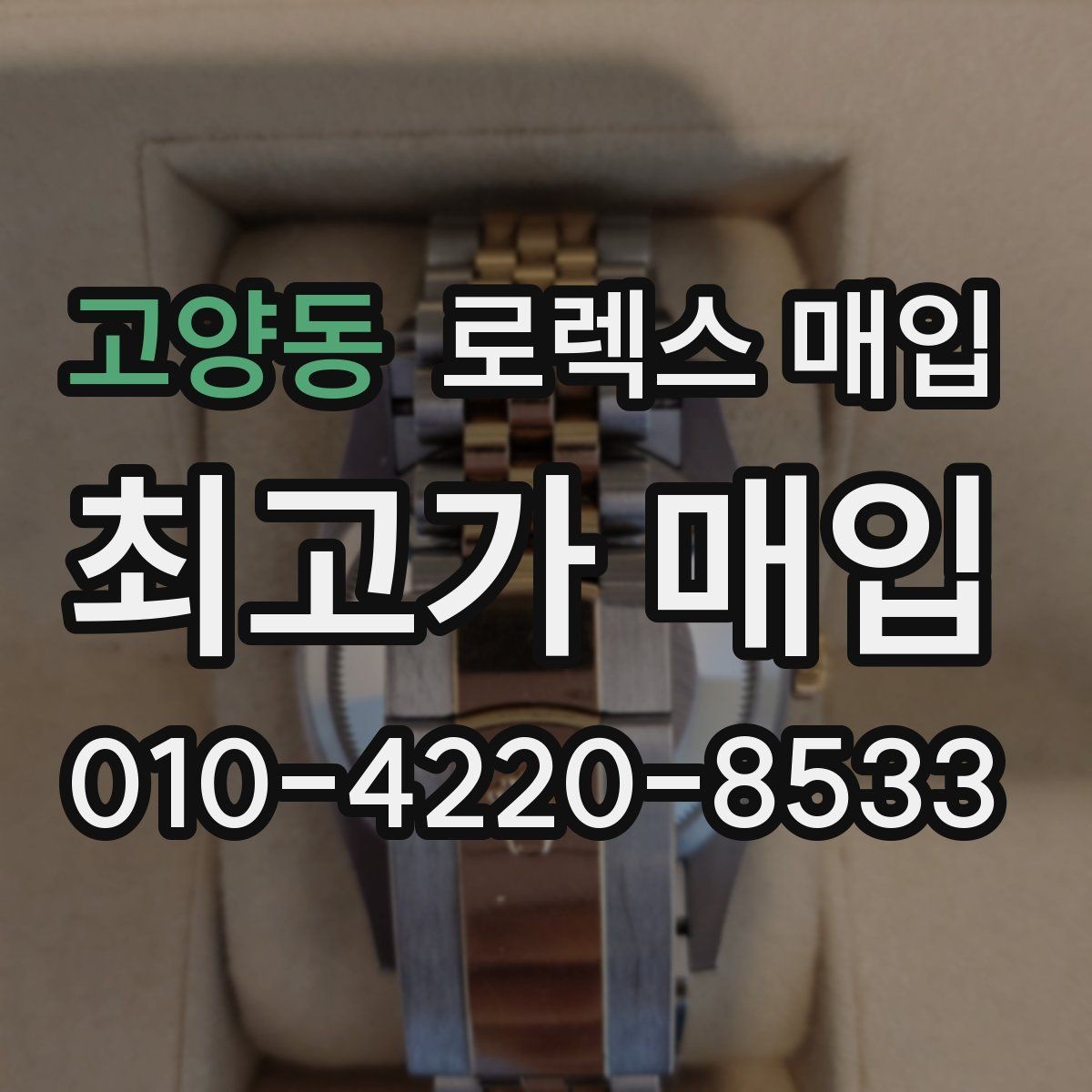 고양동 로렉스 매입 다이얼 옵션이 시세를 가르는 이유