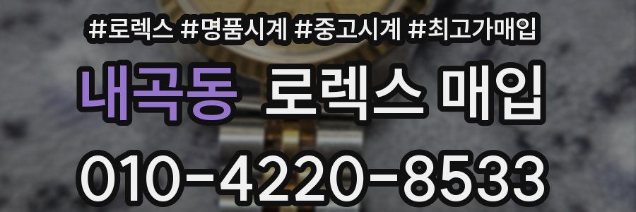 내곡동 로렉스 매입
