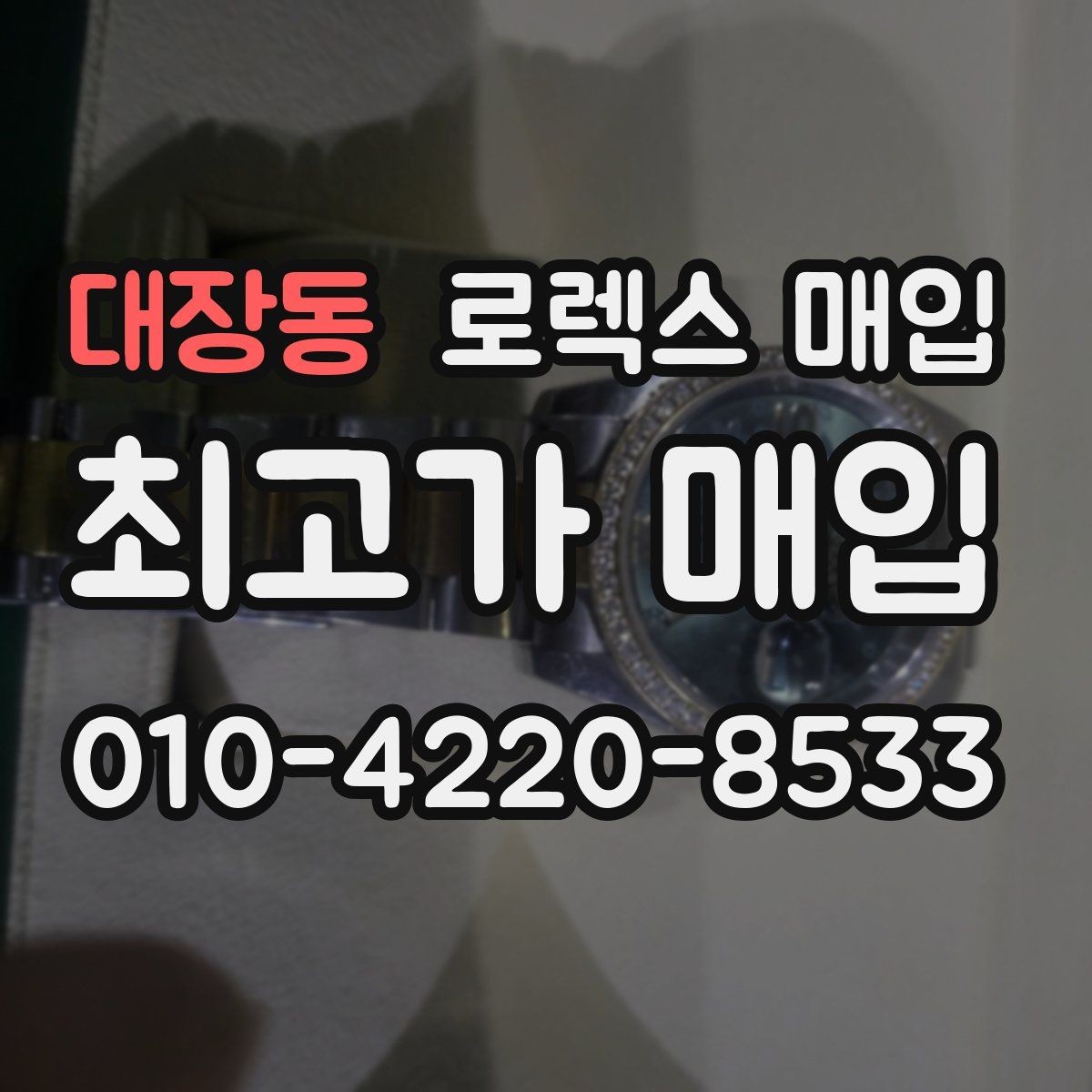 대장동 로렉스 매입 스틸 모델이 인기인 이유