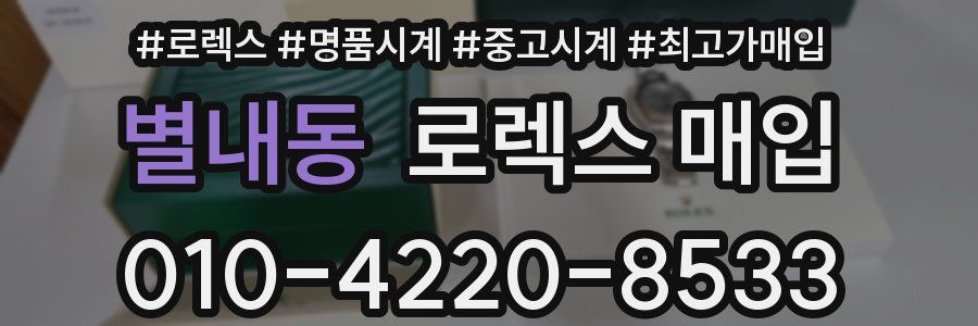 별내동 로렉스 매입