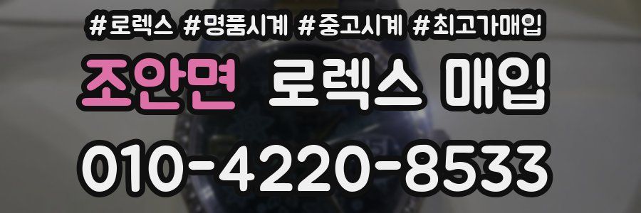 조안면 로렉스 매입