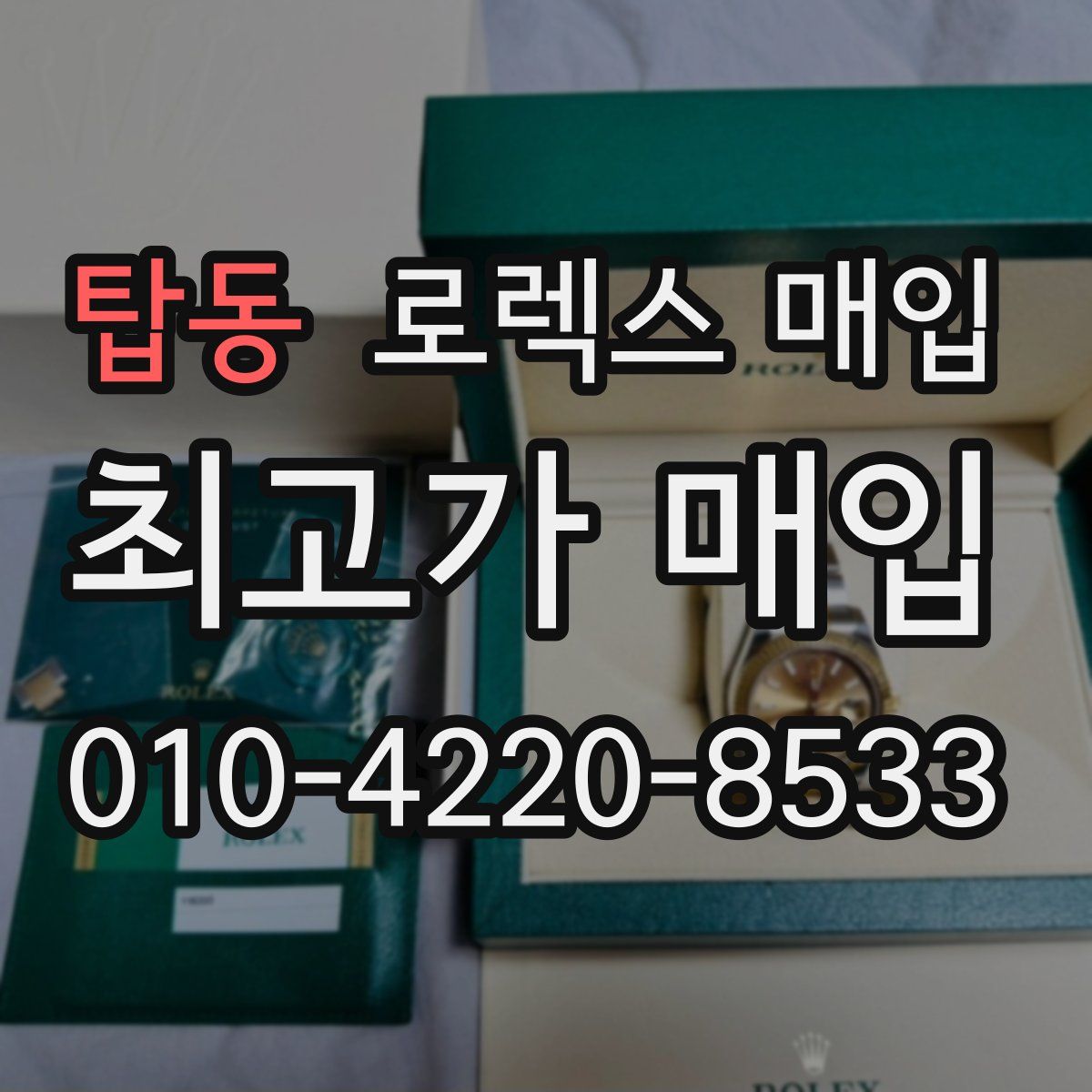 탑동 로렉스 매입