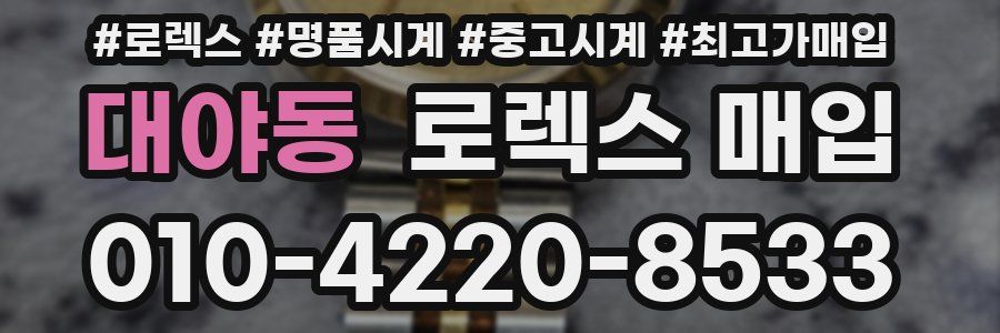 대야동 로렉스 매입