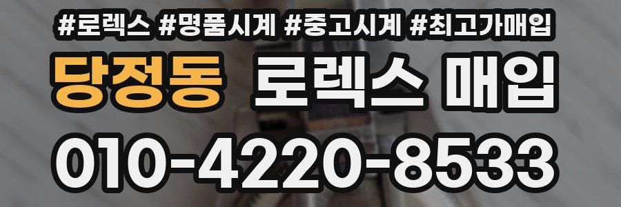 당정동 로렉스 매입