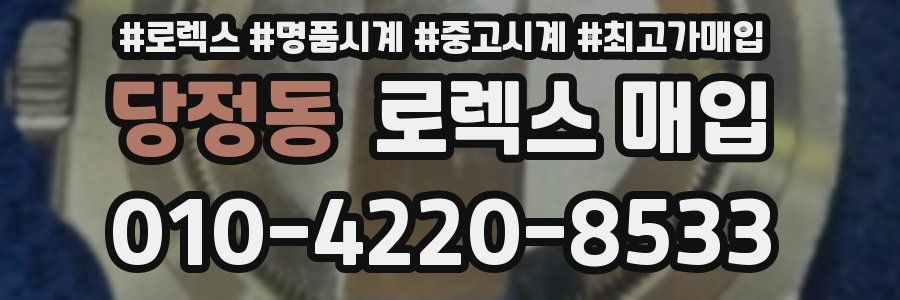 당정동 로렉스 매입