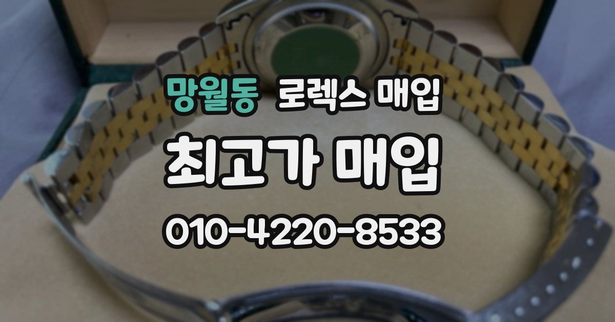 망월동 로렉스 매입