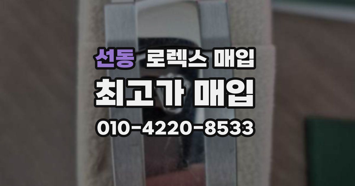 선동 로렉스 매입