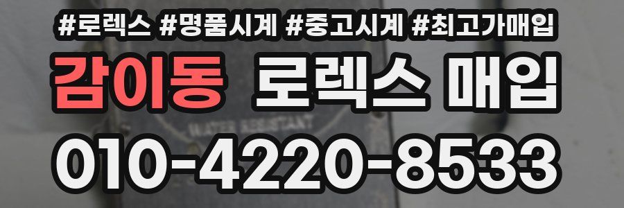 감이동 로렉스 매입