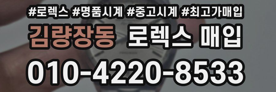 김량장동 로렉스 매입