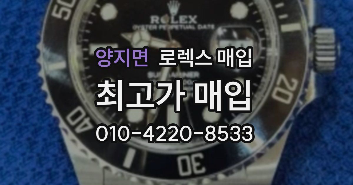 양지면 로렉스 매입