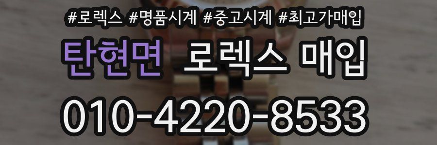 탄현면 로렉스 매입