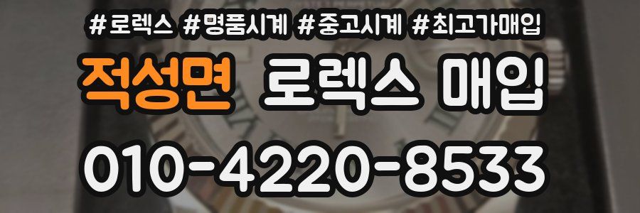 적성면 로렉스 매입