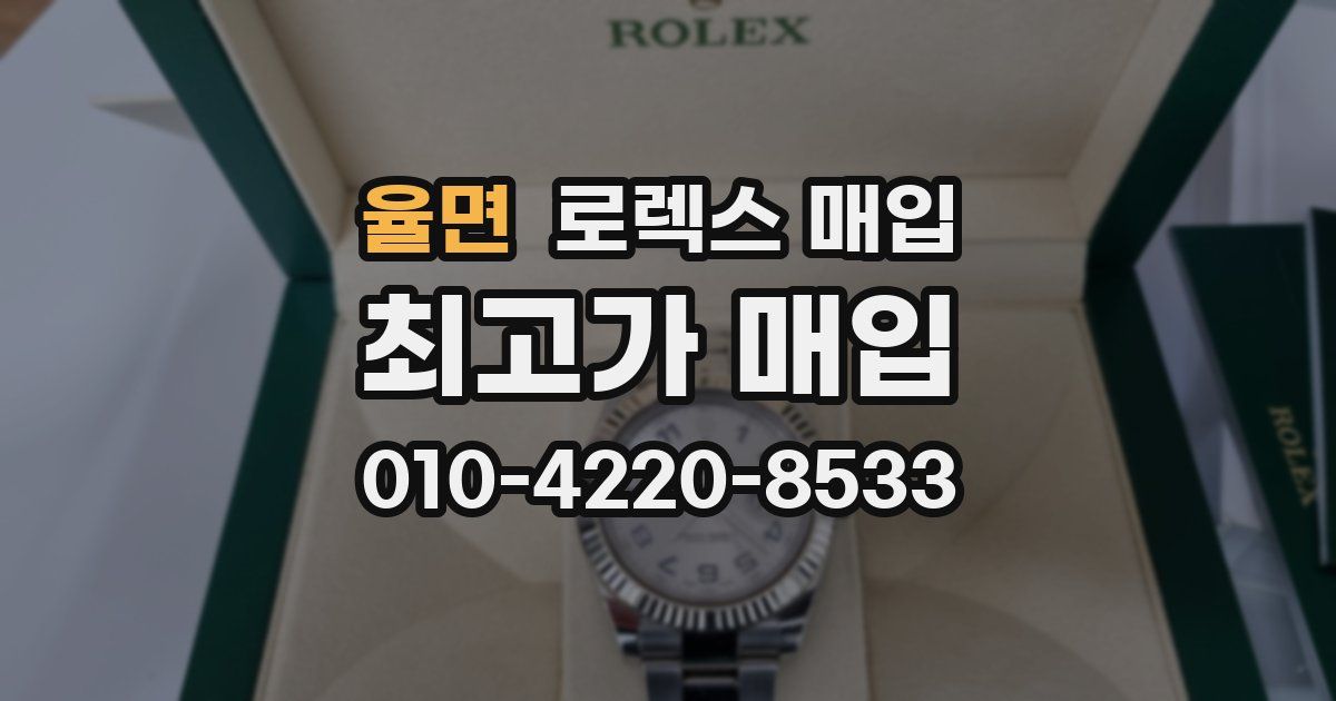 율면 로렉스 매입