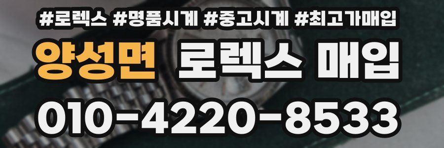 양성면 로렉스 매입