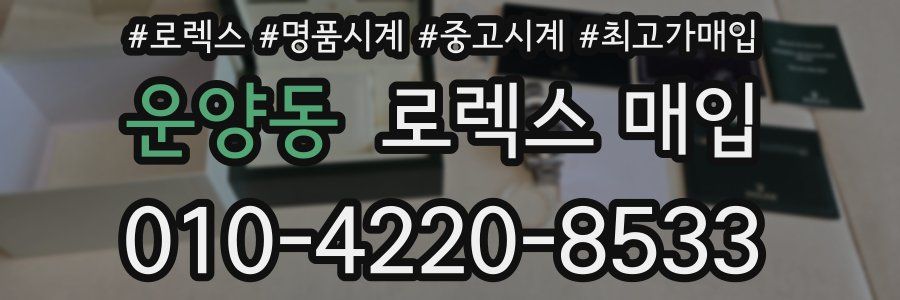 운양동 로렉스 매입