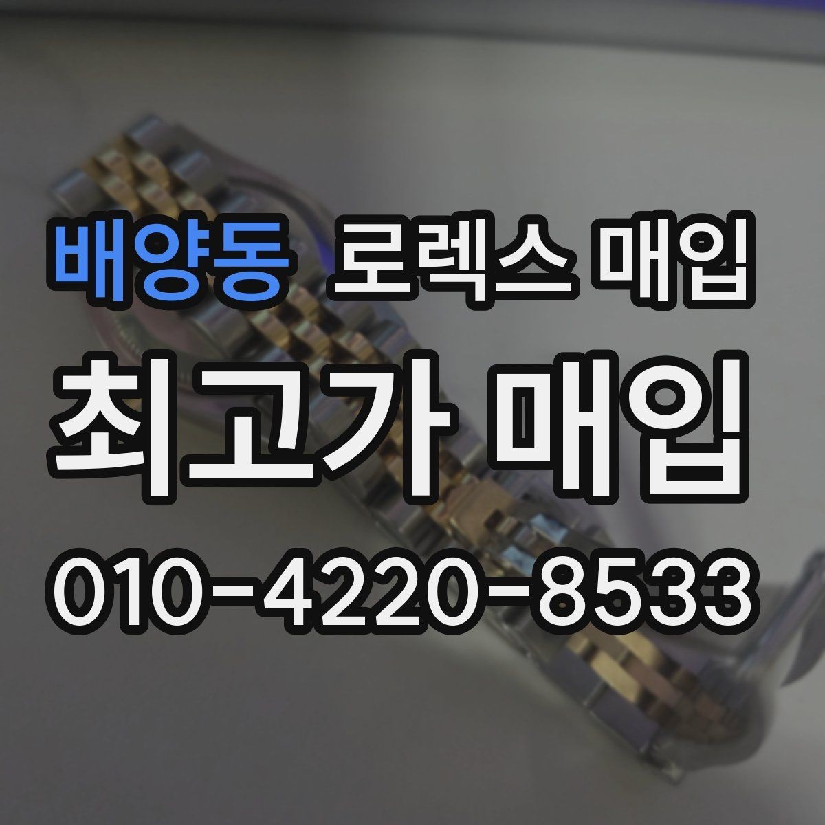 배양동 로렉스 매입 플래티넘 모델 시세 확인 방법