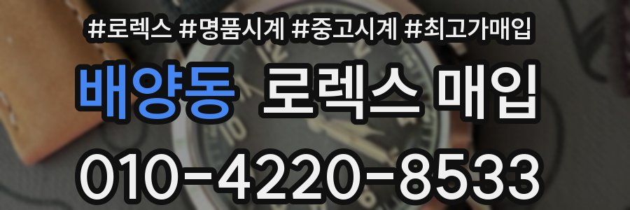 배양동 로렉스 매입