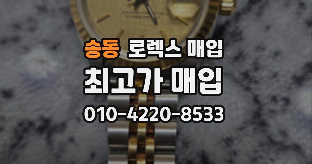 송동 로렉스 매입